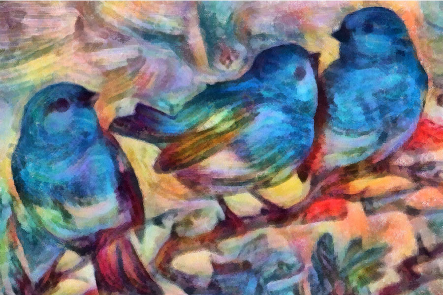 The Dance of the Birds