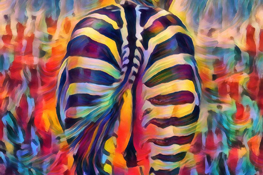 The Dance of the Zebra's Tail