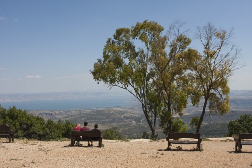תמונת נוף צימר אמירים, עצים ואנשים יושבים
