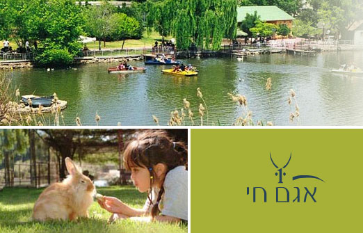 A Natural Lake in Kibbutz Yiron