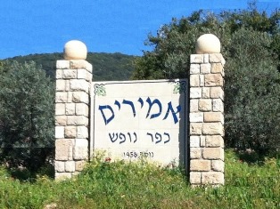 גלרית סרטונים