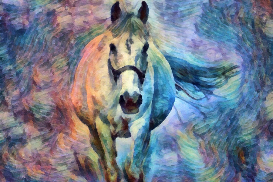 The Dance of the Horse