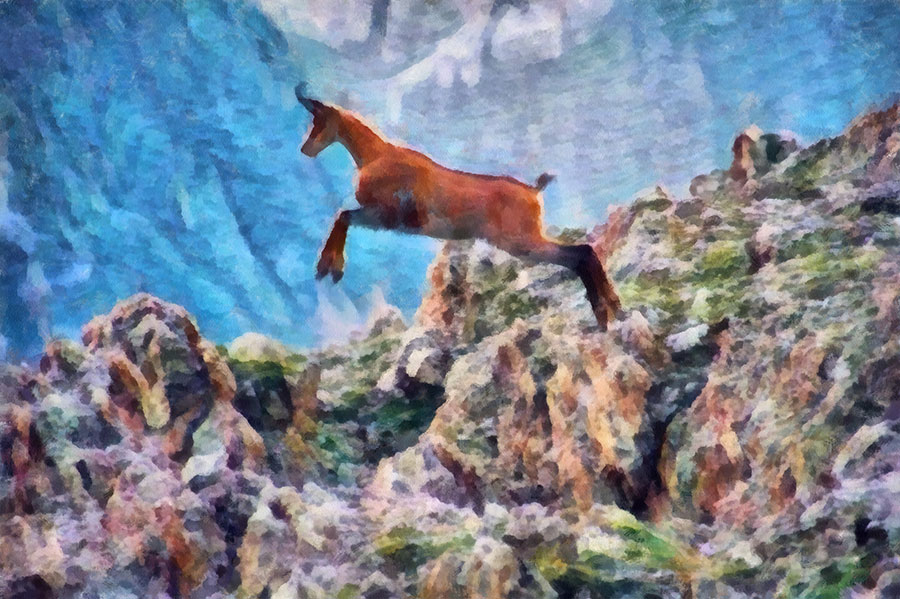 The Dance of the Goat