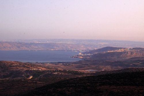Amirim