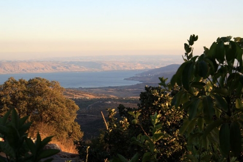 Amirim
