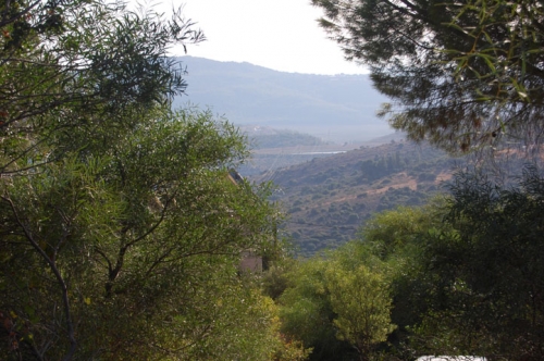 Amirim