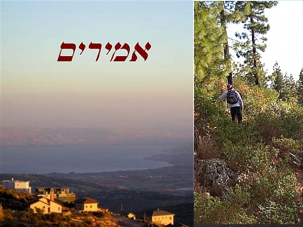 אמירים, צילום נוף וטבע