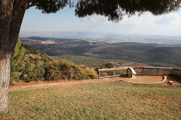 Amirim