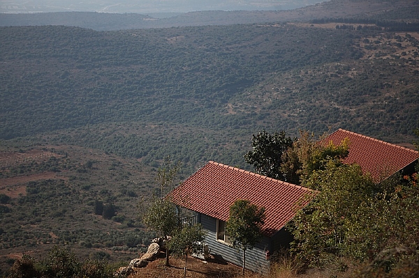 Amirim