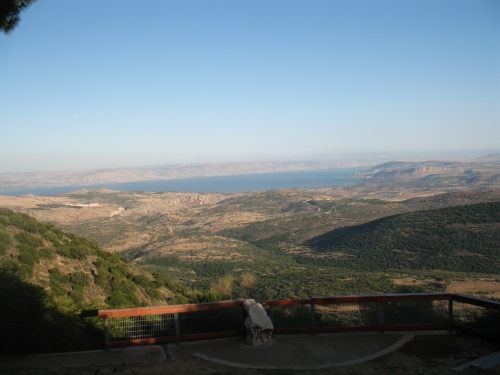 Amirim