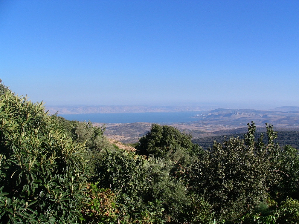 אמירים