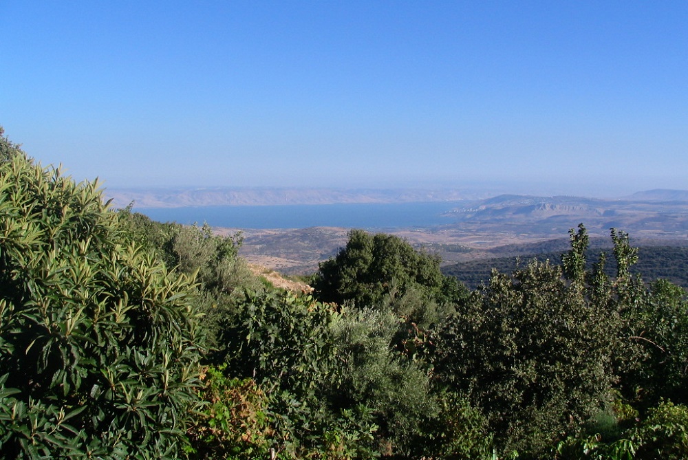 אמירים