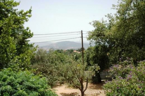 אמירים
