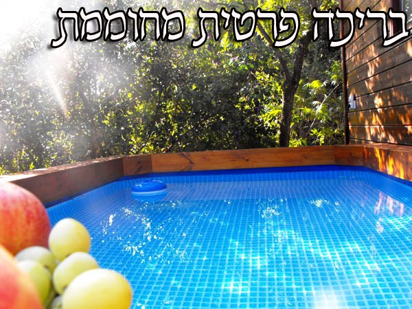 אמירים